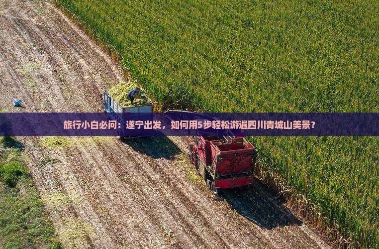 遂宁到四川青城山自由团