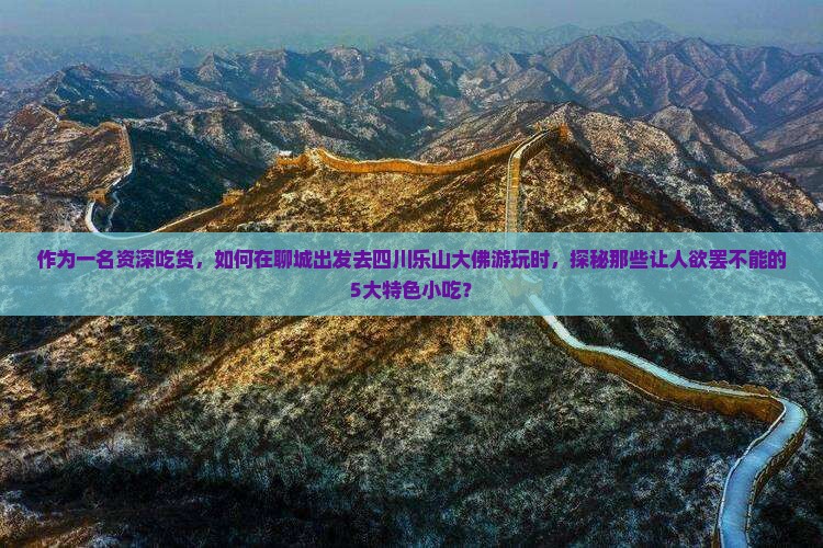 聊城到四川乐山大佛旅游小吃