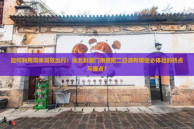 如何利用周末高效出行：张北到厦门南普陀二日游有哪些必体验的热点与痛点？