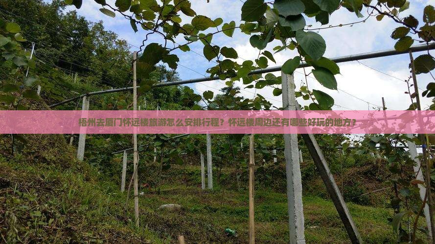 梧州去厦门怀远楼旅游怎么安排行程？怀远楼周边还有哪些好玩的地方？