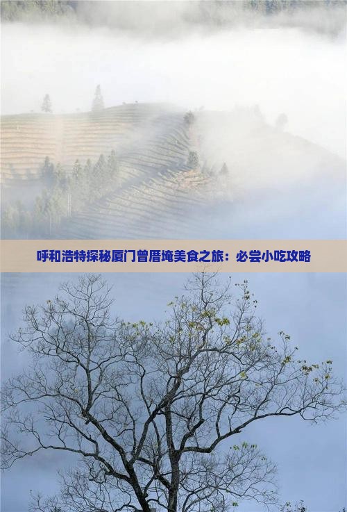 呼和浩特探秘厦门曾厝埯美食之旅：必尝小吃攻略
