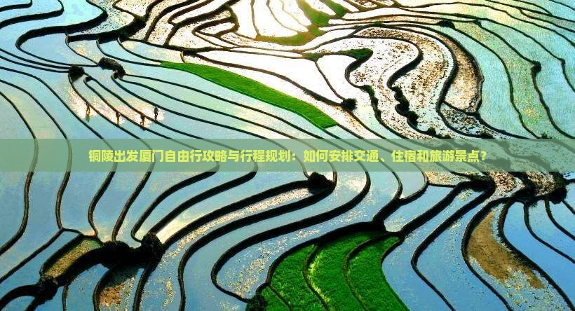 铜陵出发厦门自由行攻略与行程规划：如何安排交通、住宿和旅游景点？