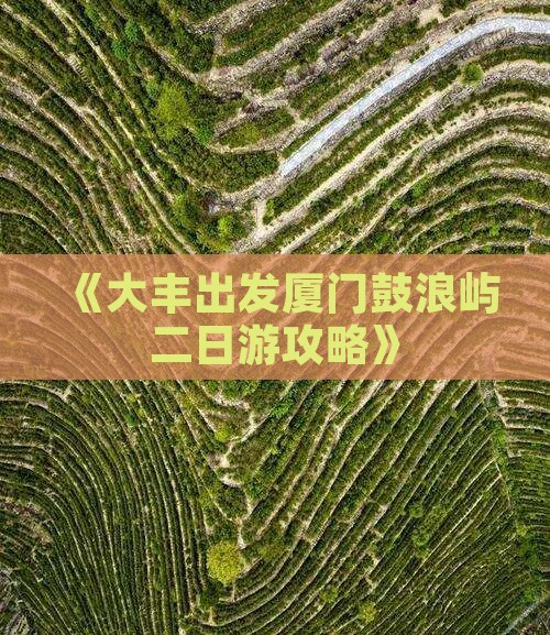 《大丰出发厦门鼓浪屿二日游攻略》