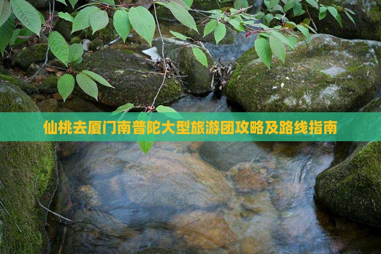 仙桃去厦门南普陀大型旅游团攻略及路线指南