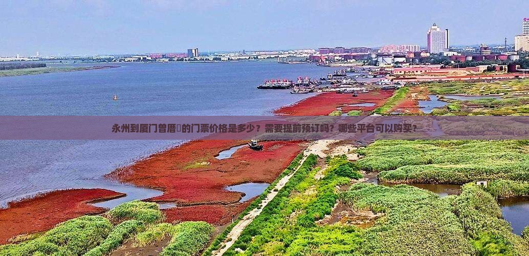 永州到厦门曾厝垵的门票价格是多少？需要提前预订吗？哪些平台可以购买？