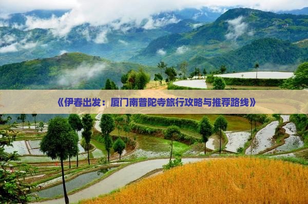 《伊春出发：厦门南普陀寺旅行攻略与推荐路线》