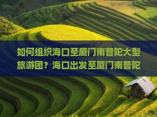 如何组织海口至厦门南普陀大型旅游团？海口出发至厦门南普陀旅游团行程安排及预订指南