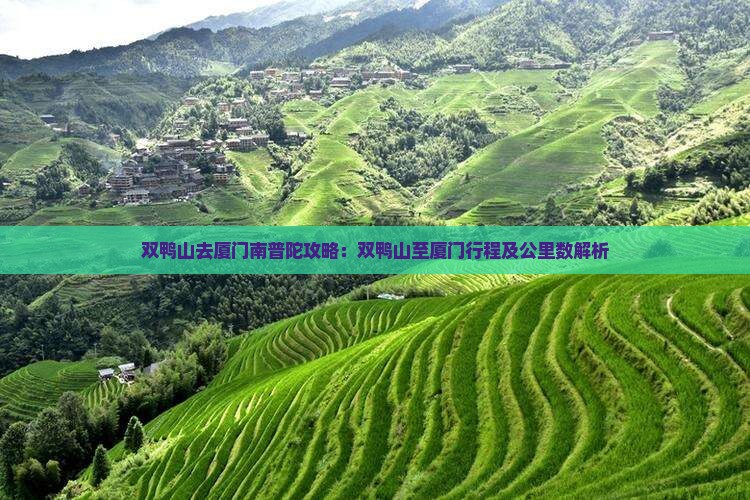 双鸭山去厦门南普陀攻略：双鸭山至厦门行程及公里数解析