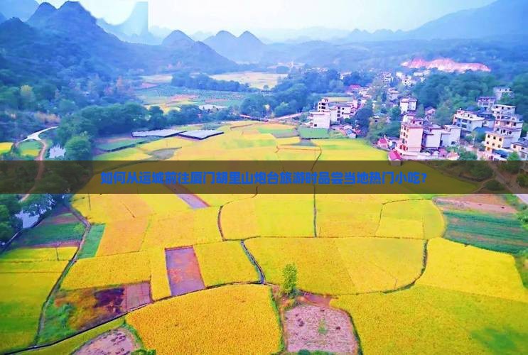 如何从运城前往厦门胡里山炮台旅游时品尝当地热门小吃？