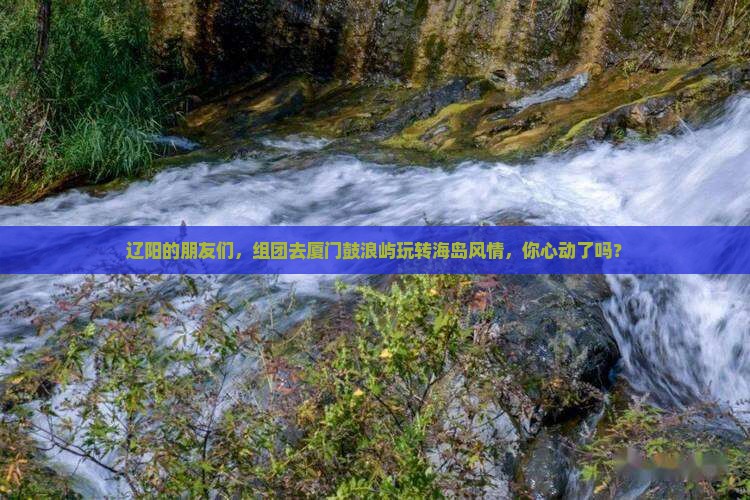 辽阳的朋友们,组团去厦门鼓浪屿玩转海岛风情,你心动了吗? 辽阳的朋友们,组团去厦门鼓浪屿玩转海岛风情,你心动了吗?