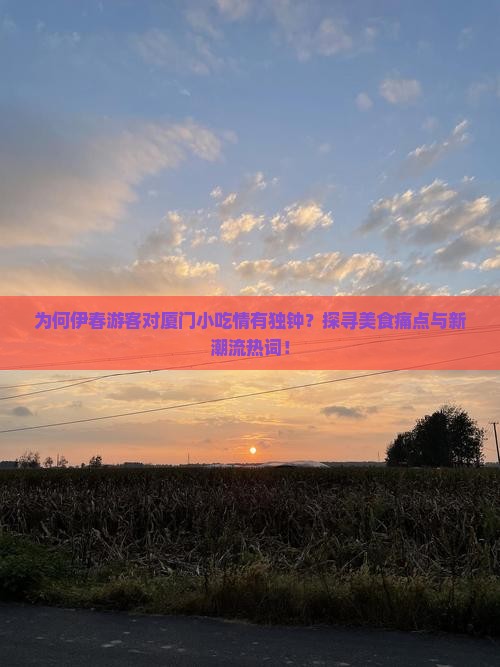 为何伊春游客对厦门小吃情有独钟？探寻美食痛点与新潮流热词！