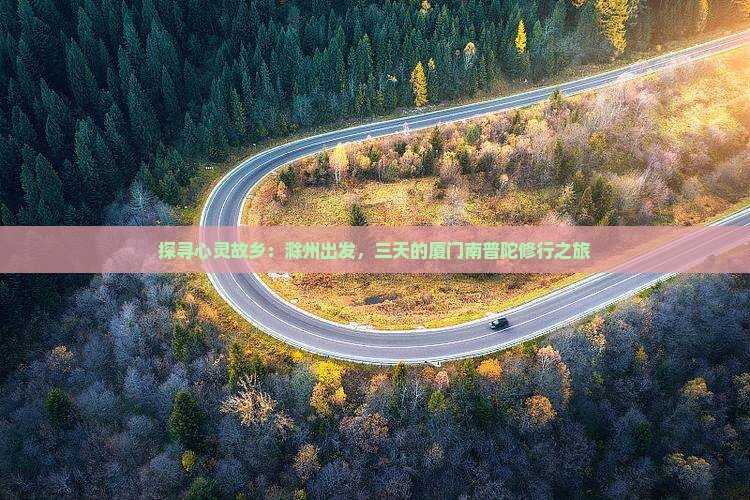 探寻心灵故乡：滁州出发，三天的厦门南普陀修行之旅