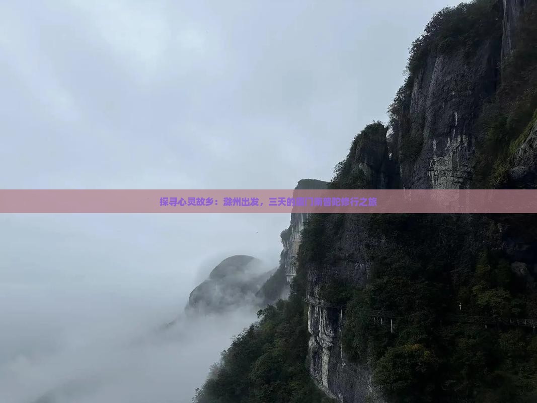 探寻心灵故乡：滁州出发，三天的厦门南普陀修行之旅
