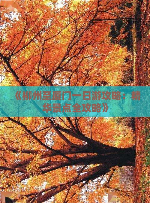 《柳州至厦门一日游攻略：精华景点全攻略》