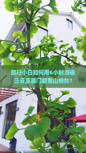 旅行小白如何用6小时游遍三亚至厦门胡里山炮台？
