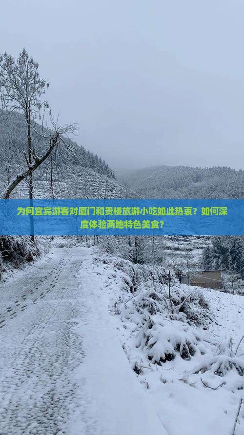 为何宜宾游客对厦门和贵楼旅游小吃如此热衷？如何深度体验两地特色美食？