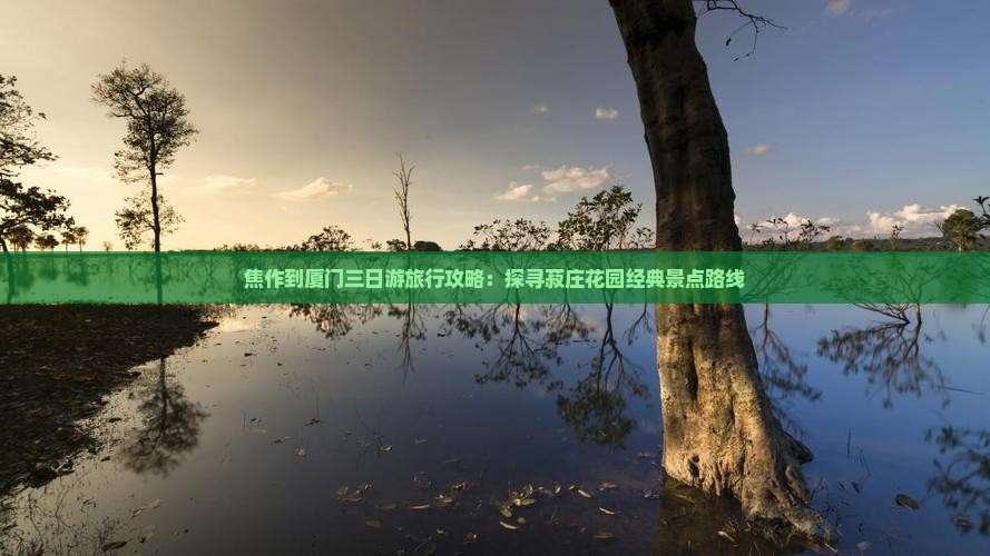 焦作到厦门三日游旅行攻略：探寻菽庄花园经典景点路线