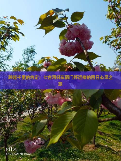 跨越千里的约定：七台河好友厦门怀远楼的四日心灵之旅