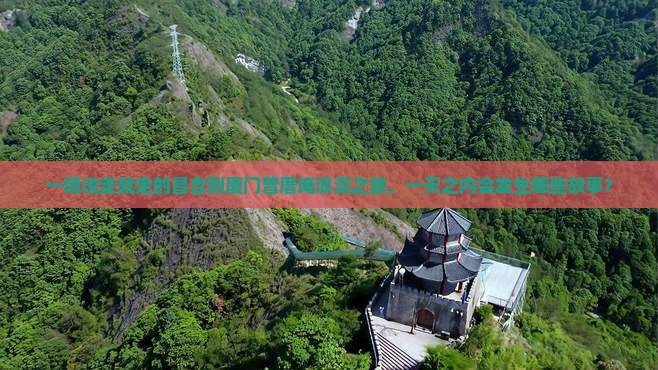 一场说走就走的昌吉到厦门曾厝埯浪漫之旅，一天之内会发生哪些故事？