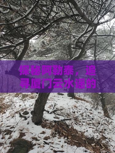 探秘阿勒泰，追寻厦门云水谣的诗与远方
