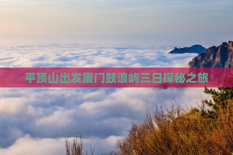 平顶山出发厦门鼓浪屿三日探秘之旅