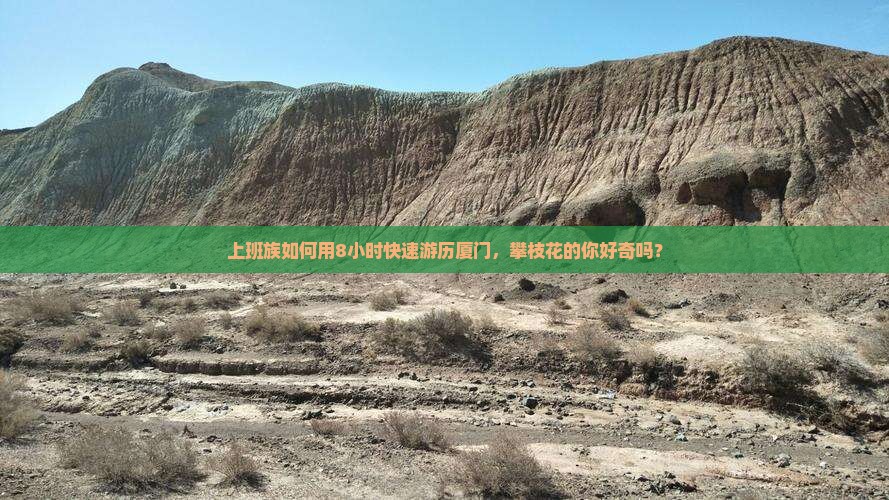 上班族如何用8小时快速游历厦门，攀枝花的你好奇吗？