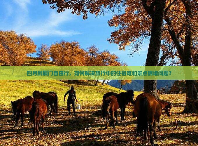 四月到厦门自由行，如何解决旅行中的住宿难和景点拥堵问题？