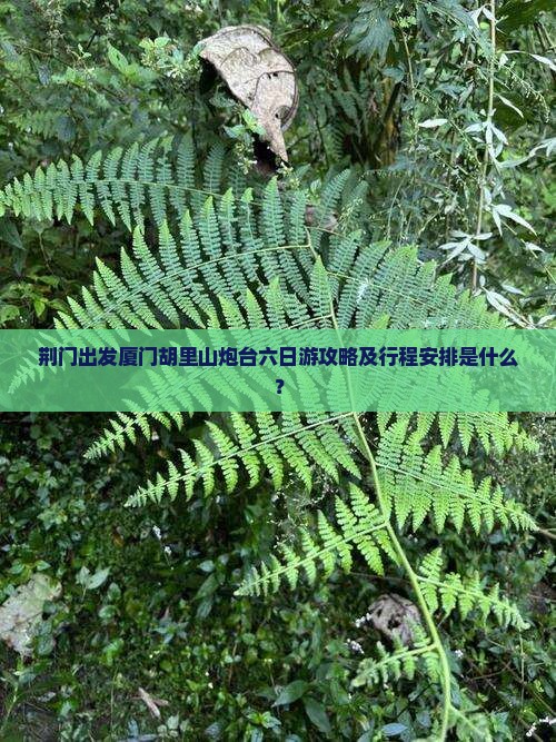荆门出发厦门胡里山炮台六日游攻略及行程安排是什么？
