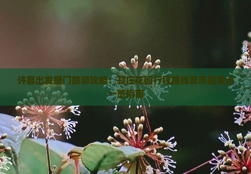 许昌出发厦门旅游攻略：菽庄花园行程路线及市区景点一览指南