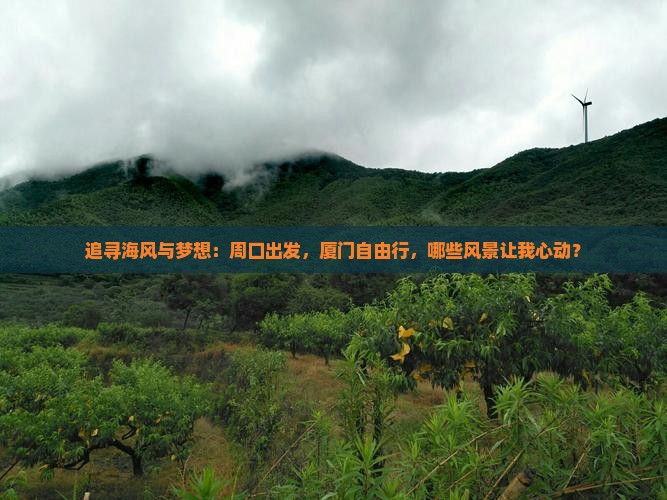 追寻海风与梦想：周口出发，厦门自由行，哪些风景让我心动？
