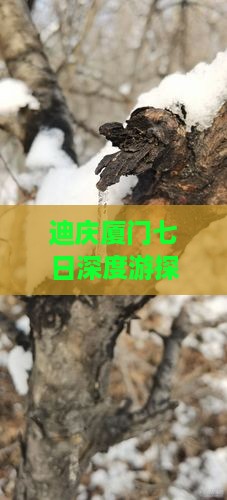 迪庆厦门七日深度游探险之旅