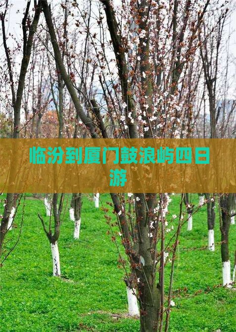 临汾到厦门鼓浪屿四日游