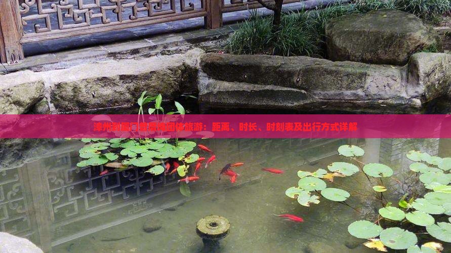 漳州到厦门曾厝埯团体旅游：距离、时长、时刻表及出行方式详解