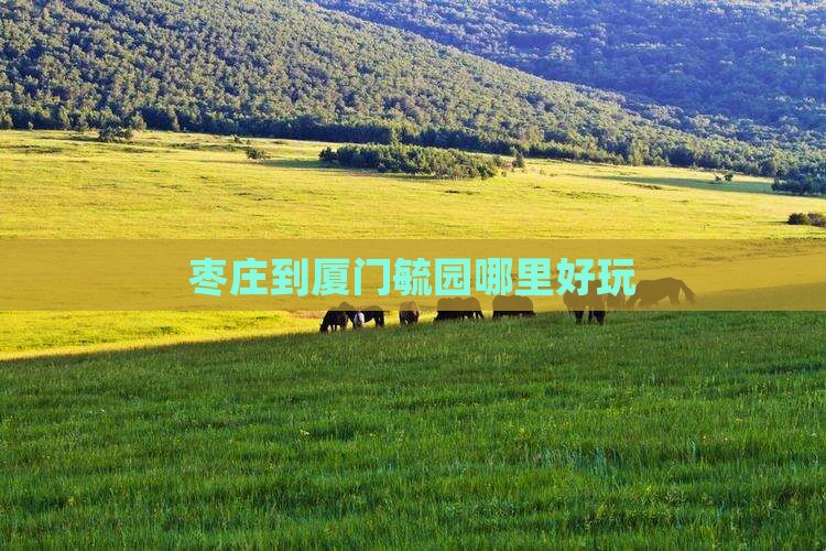 枣庄到厦门毓园哪里好玩