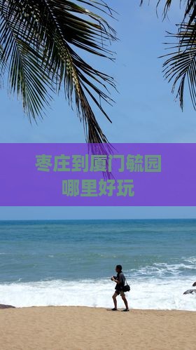 枣庄到厦门毓园哪里好玩