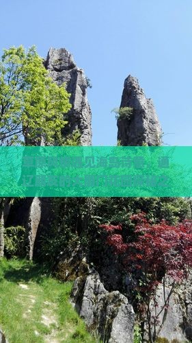 通辽去厦门菽庄花园大型旅游团