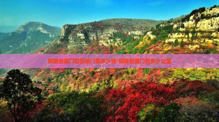 铜陵去厦门和贵楼门票