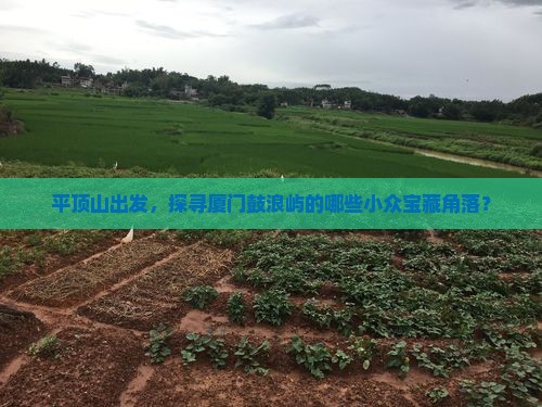 平顶山到厦门鼓浪屿哪里玩