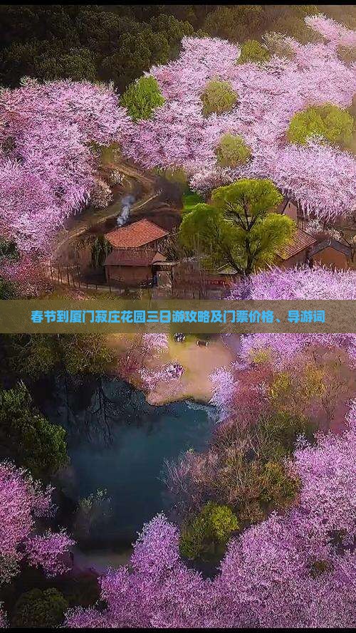 春节到厦门菽庄花园三日游