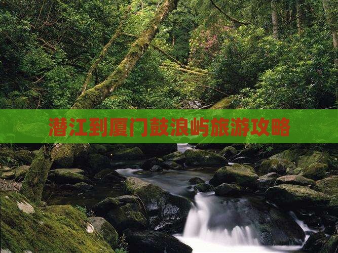 潜江去厦门鼓浪屿个人游