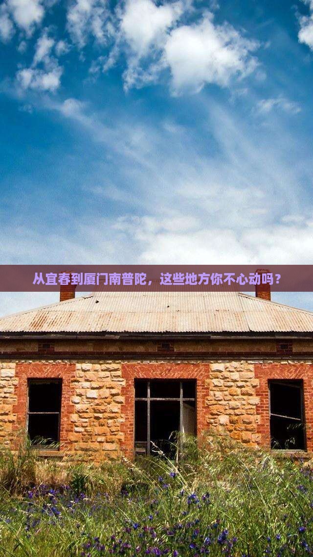 宜春到厦门南普陀必去地