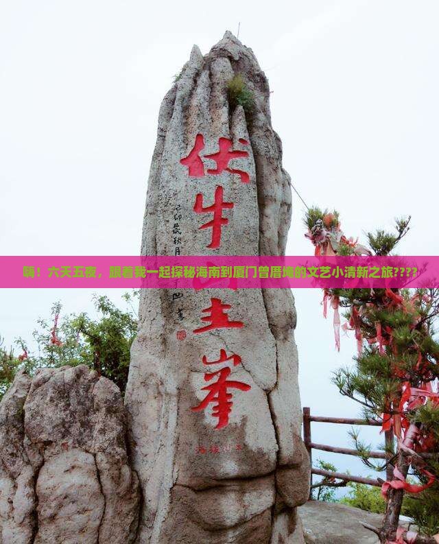 海南到厦门曾厝埯六日游