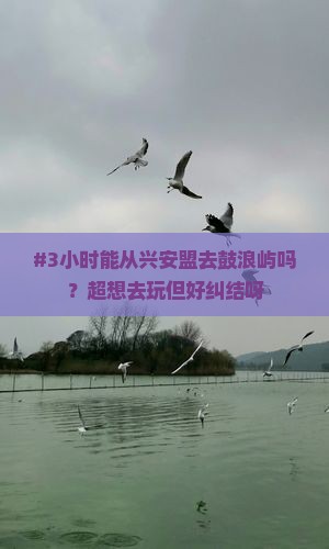 兴安盟到厦门鼓浪屿一日