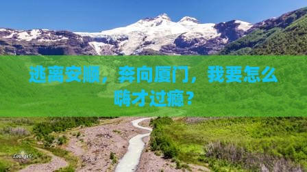安顺去厦门哪里玩