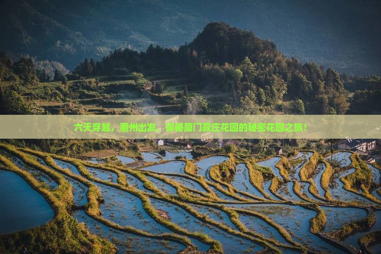 惠州去厦门菽庄花园六日游