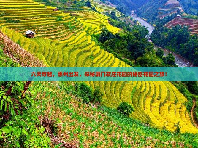 惠州去厦门菽庄花园六日游