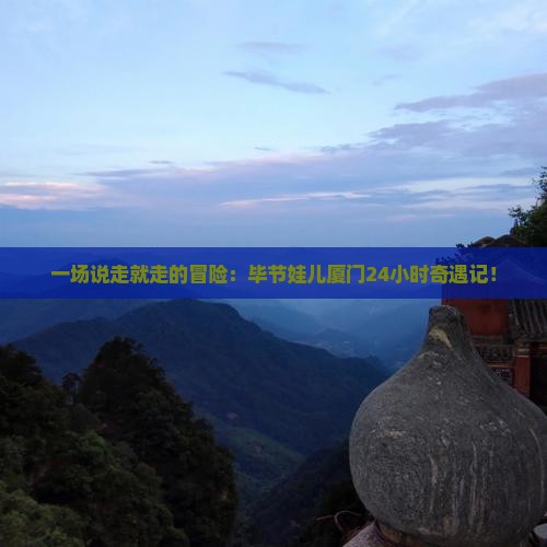 毕节去厦门一日