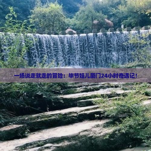 毕节去厦门一日