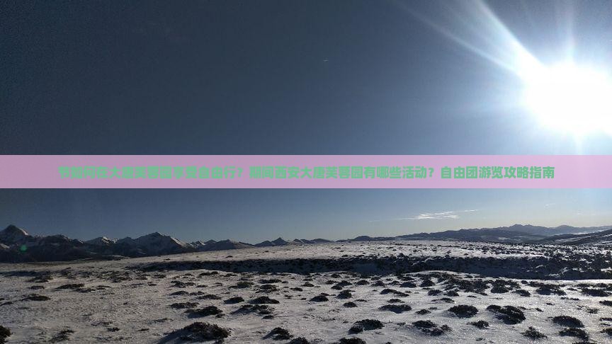 节如何在大唐芙蓉园享受自由行？期间西安大唐芙蓉园有哪些活动？自由团游览攻略指南