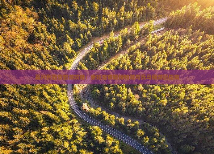 嘉兴到西安旅游攻略：秦始皇帝陵博物院与兵马俑游玩指南